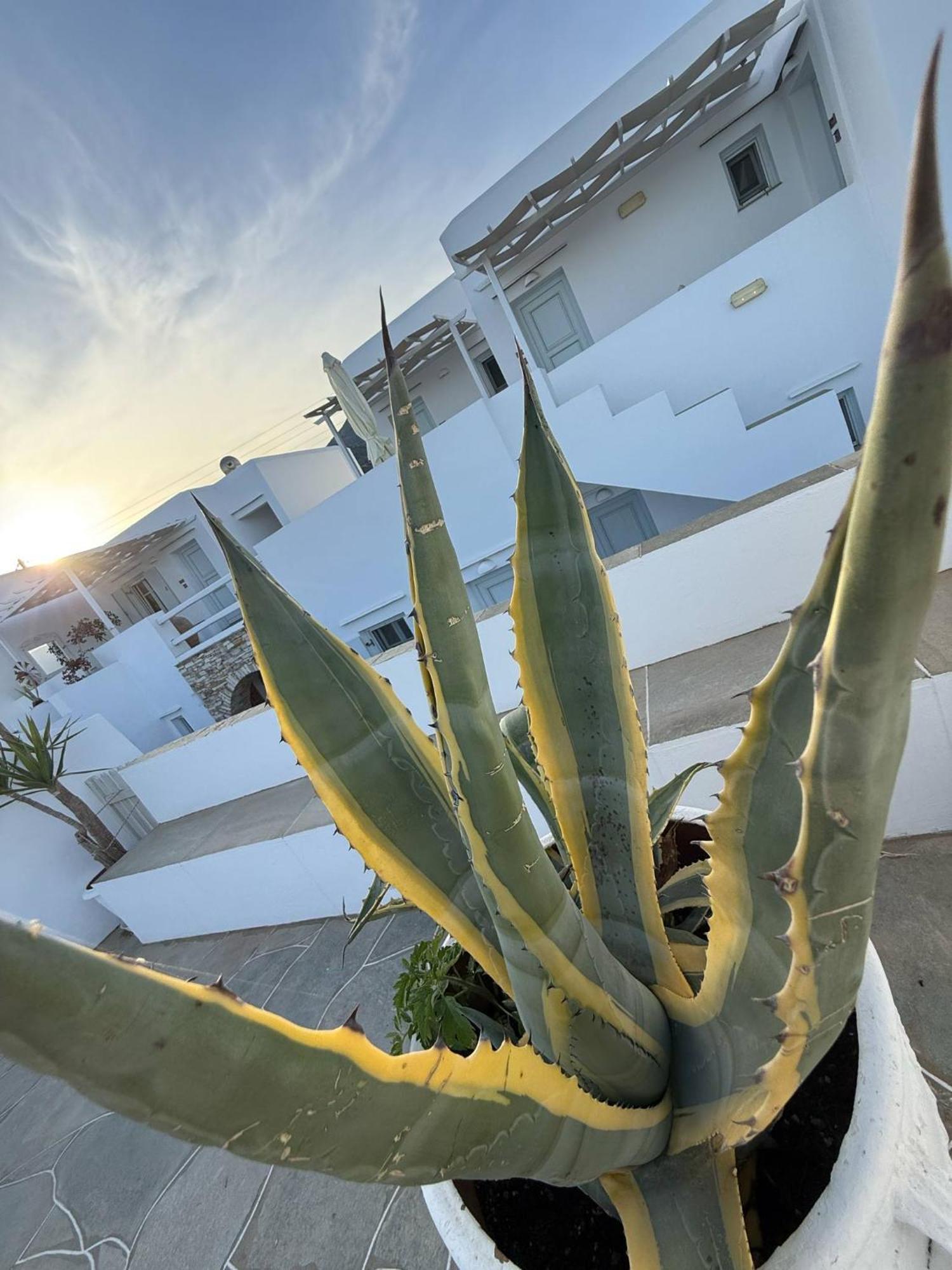 Kohylia Beach Guest House Platis Gialos  Экстерьер фото